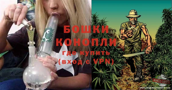 прущие грибы Абдулино