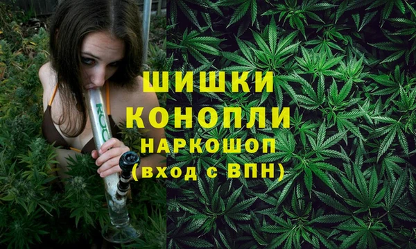 PSILOCYBIN Алзамай