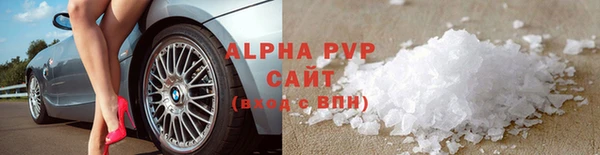 прущие грибы Абдулино