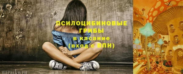 винт Алексин