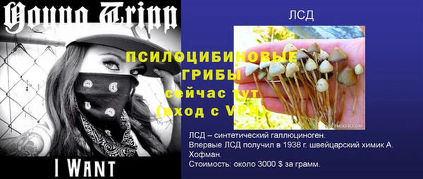 крисы Абинск