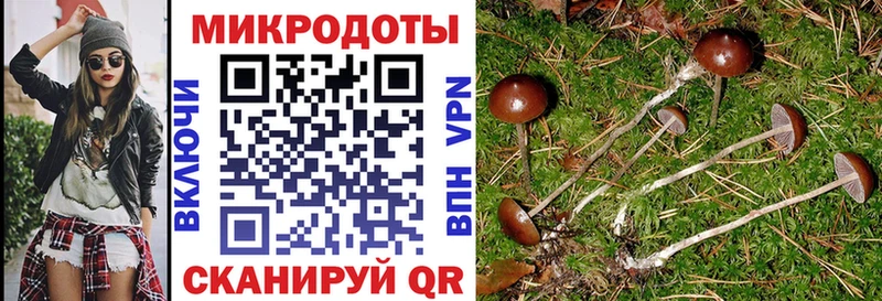 Галлюциногенные грибы прущие грибы  закладка  Старый Крым 